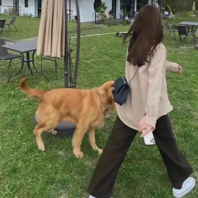 零点震撼