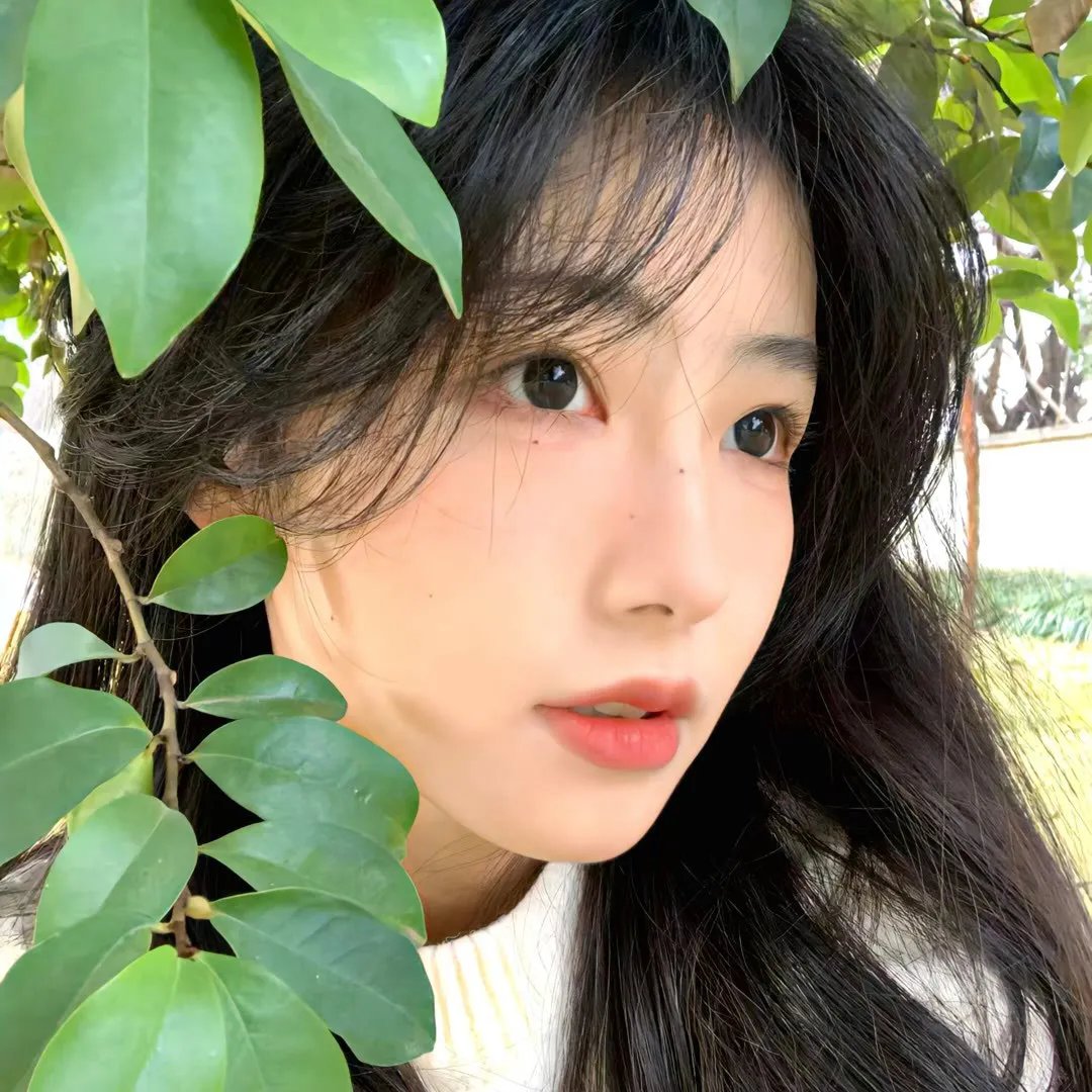 女招待